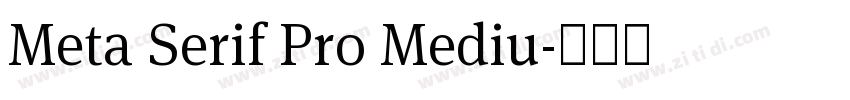 Meta Serif Pro Mediu字体转换
